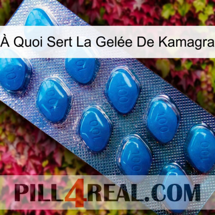 À Quoi Sert La Gelée De Kamagra viagra1